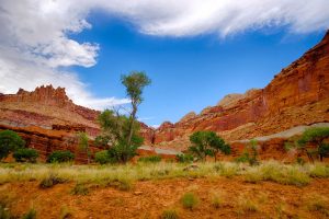 places and things to do in helper ut